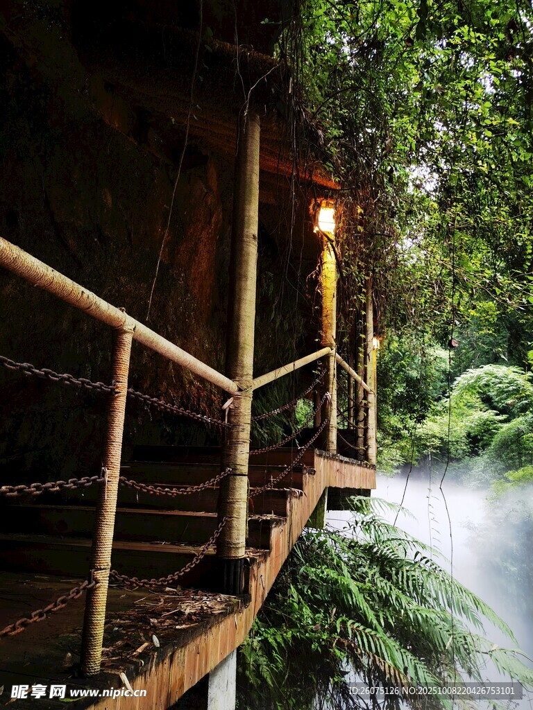 森林中的木质观景平台