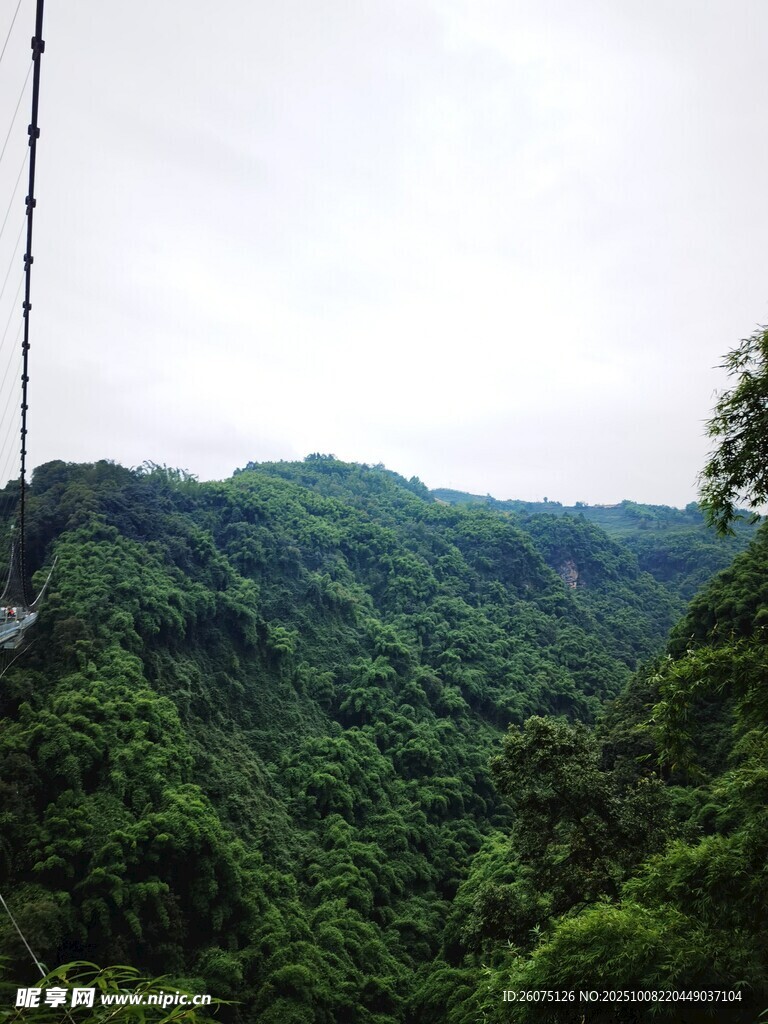 山林间的高空绳索景观