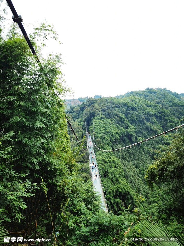 山间玻璃桥绿意盎然的景致