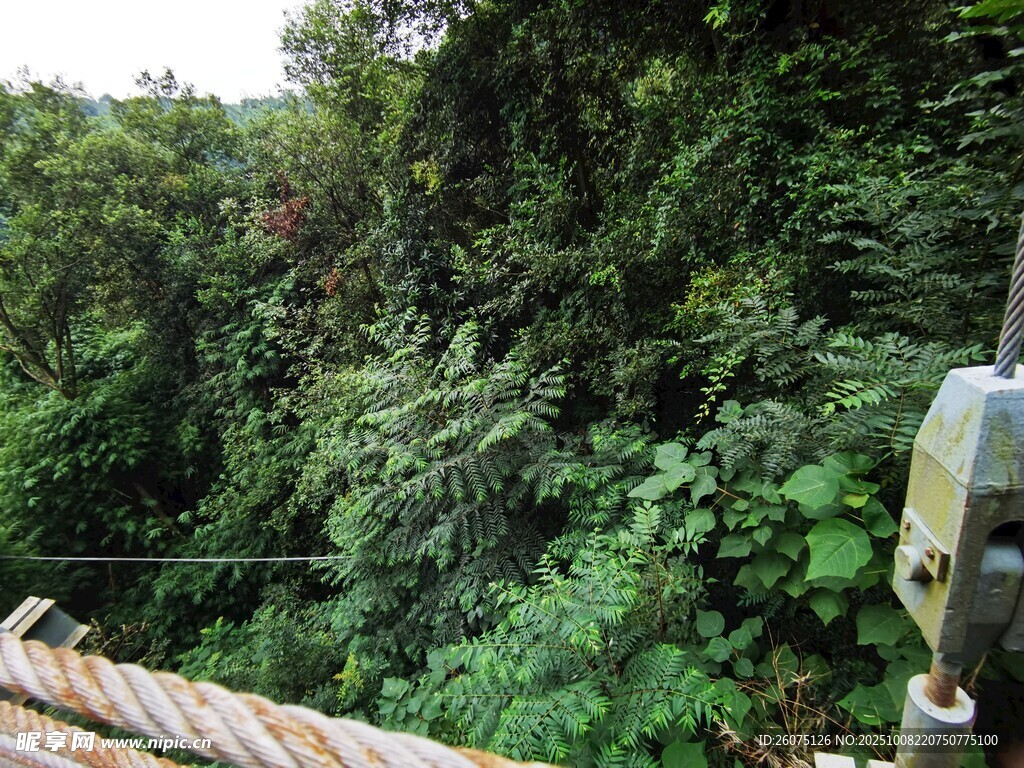 山林间的缆绳设施