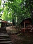 林间木屋与蜿蜒石阶小道