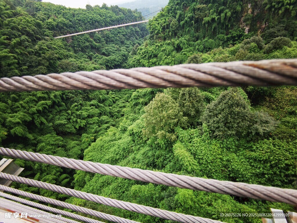 悬索桥上望葱郁山林