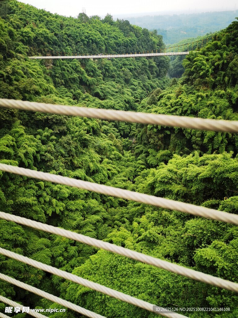 俯瞰葱郁山林的观景平台