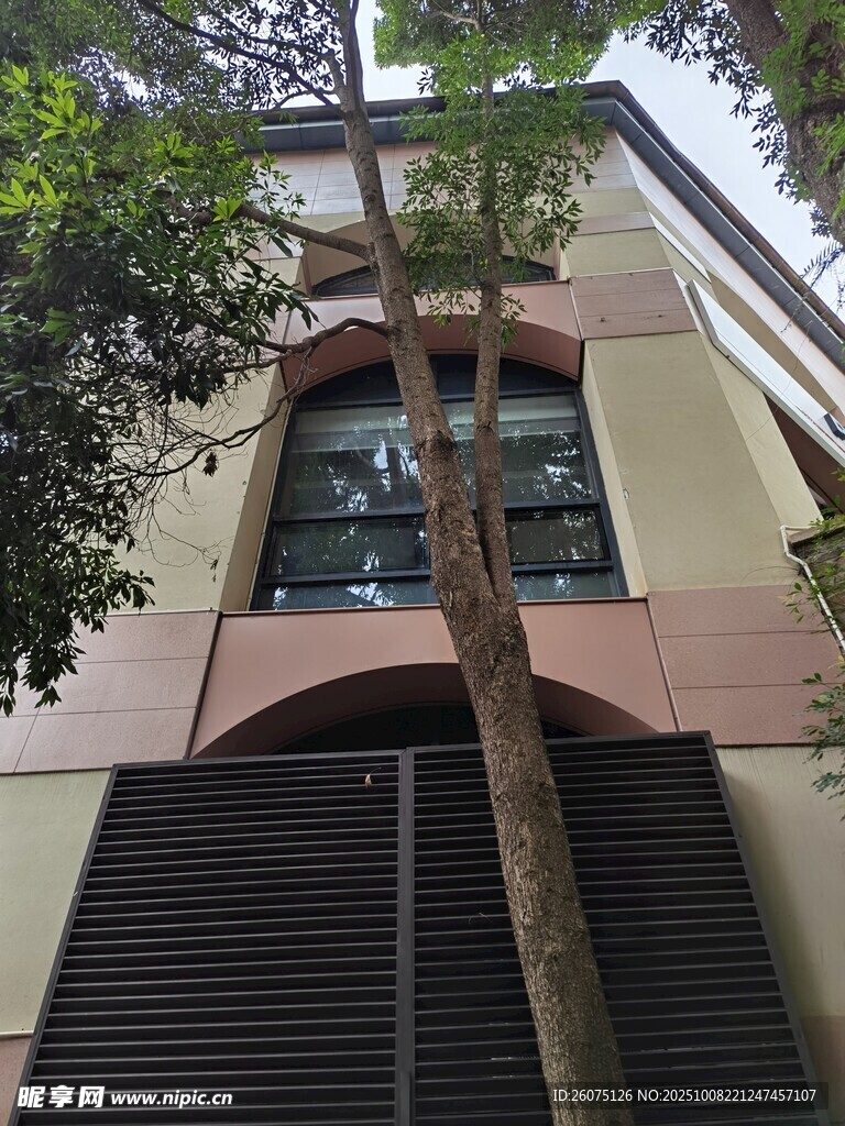 城市中带绿植的建筑外观