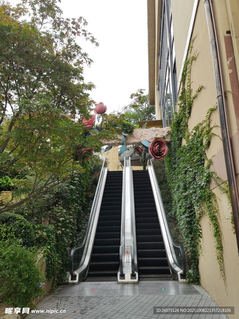 户外自动扶梯旁绿植环绕