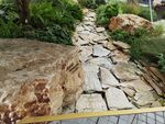 石板小径自然绿植相伴