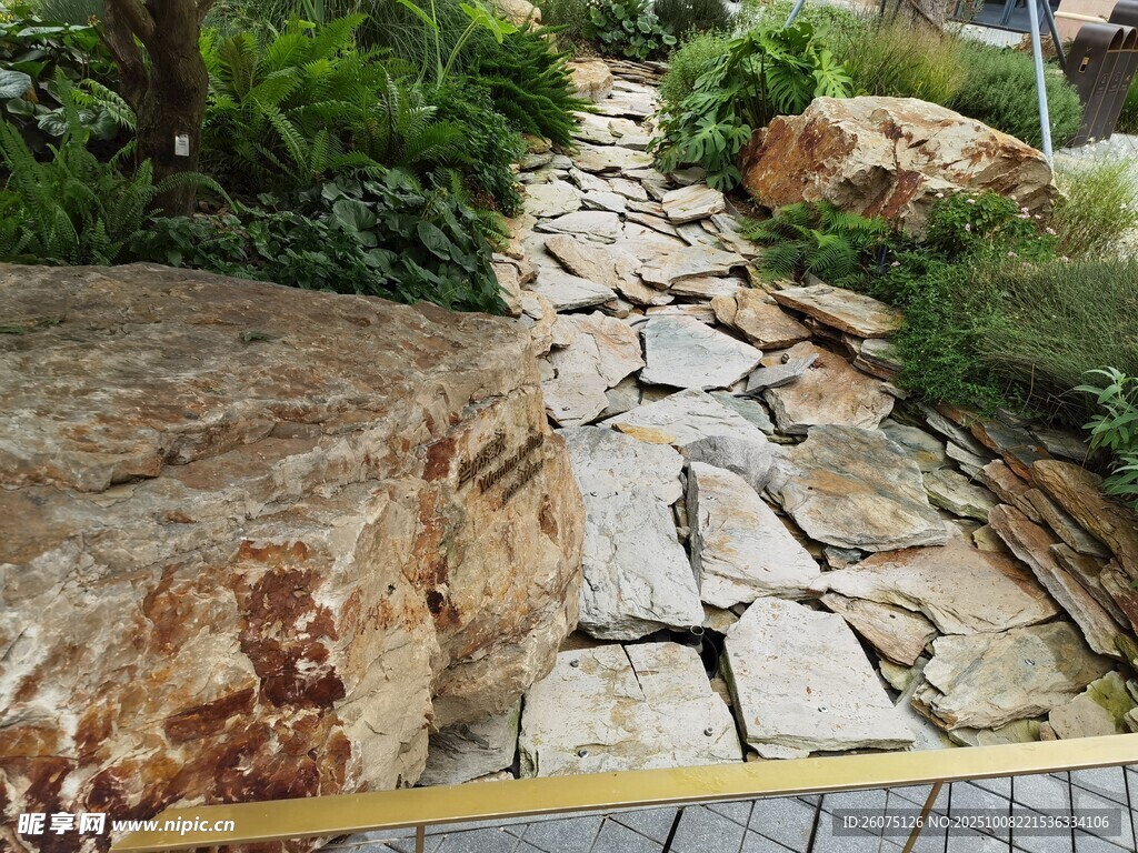石板小径自然绿植相伴