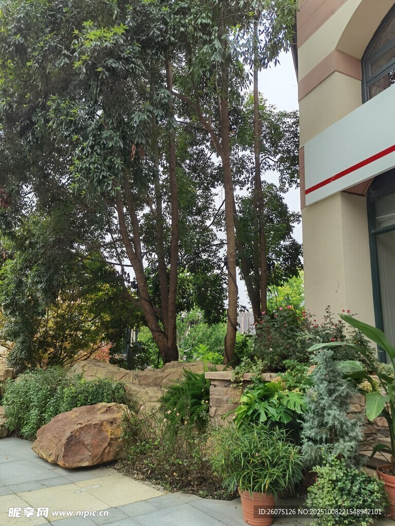 庭院绿植景观一角