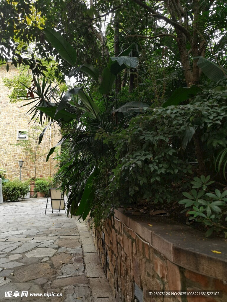 庭院绿植景观