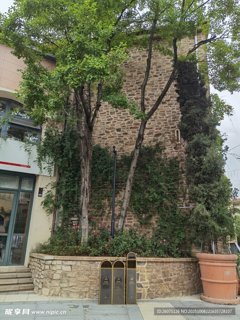 庭院绿植环绕的建筑景观