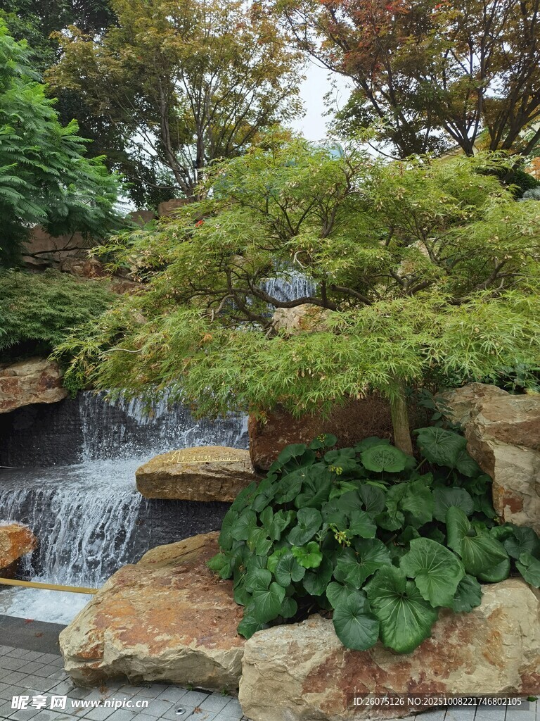 庭院景观绿植与瀑布
