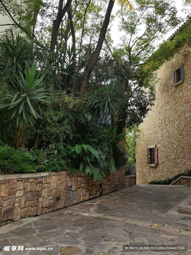 石砌小道旁的绿植与建筑