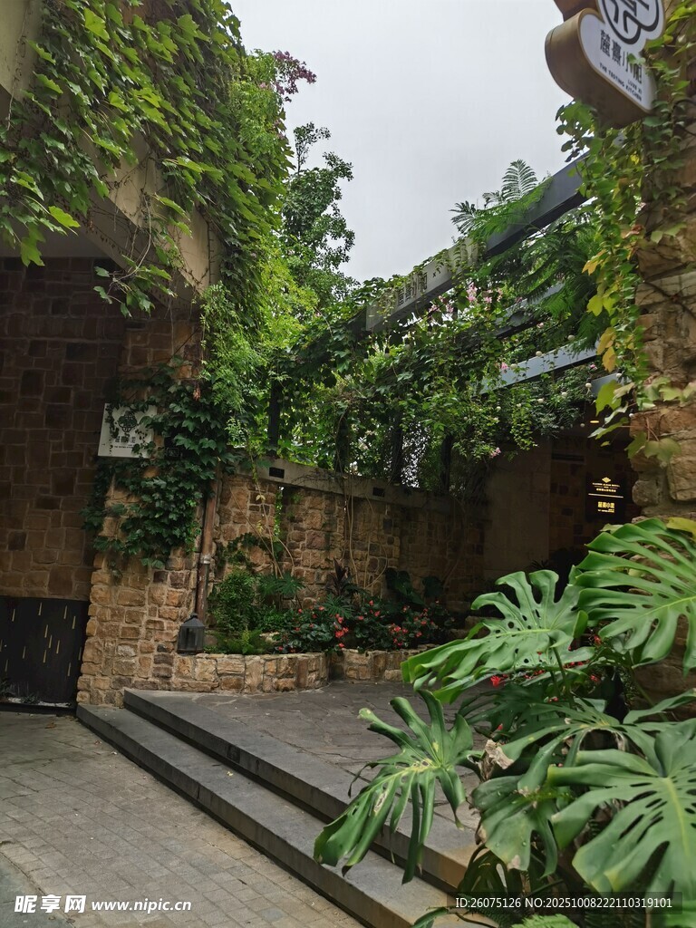 中式庭院绿植环绕景致美