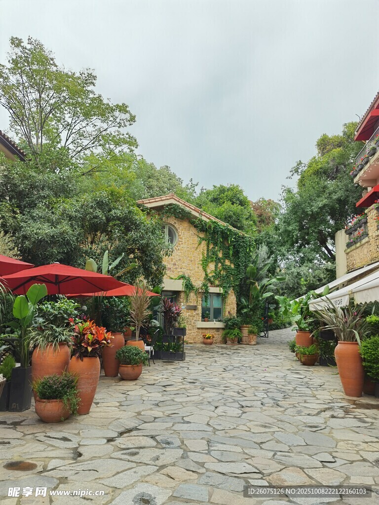 欧式庭院石板路绿植景致