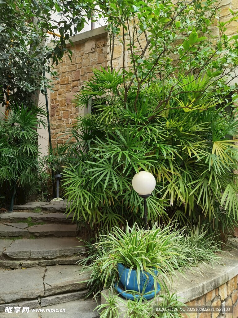 庭院绿植景观静谧小角落