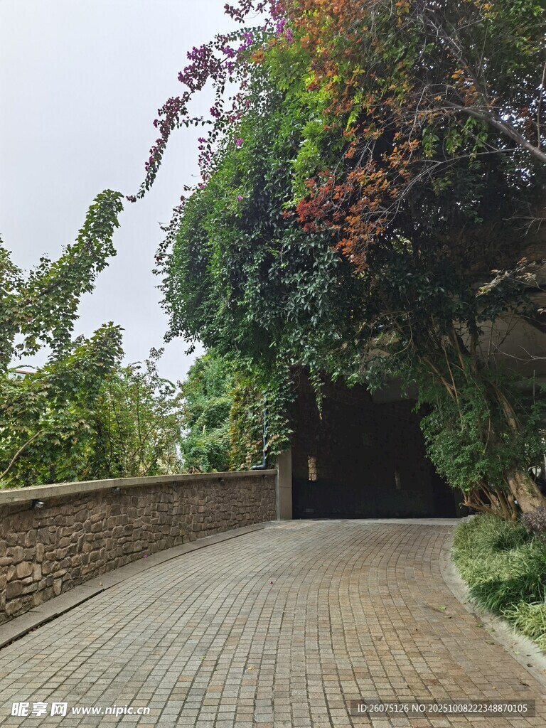 绿荫环绕的幽静砖石小道