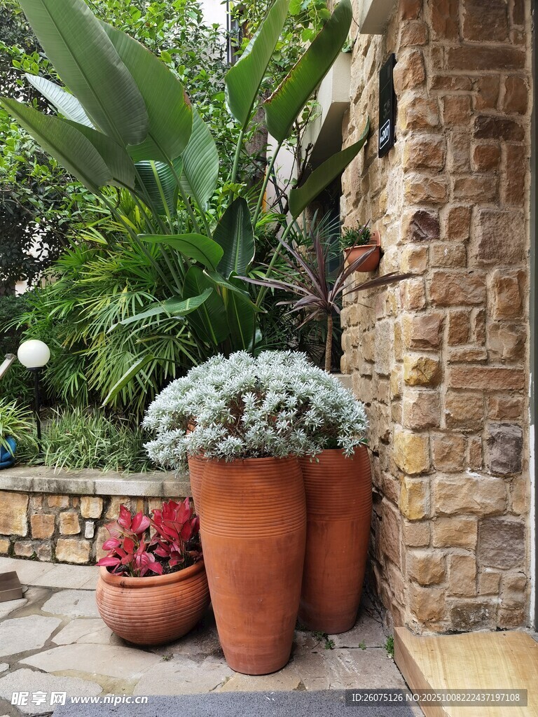 庭院角落的陶盆绿植景观