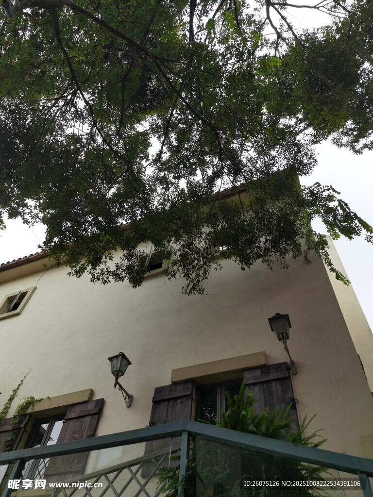 庭院一角的建筑与绿植