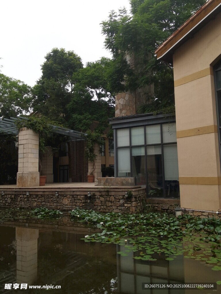 中式庭院水景与绿植景观