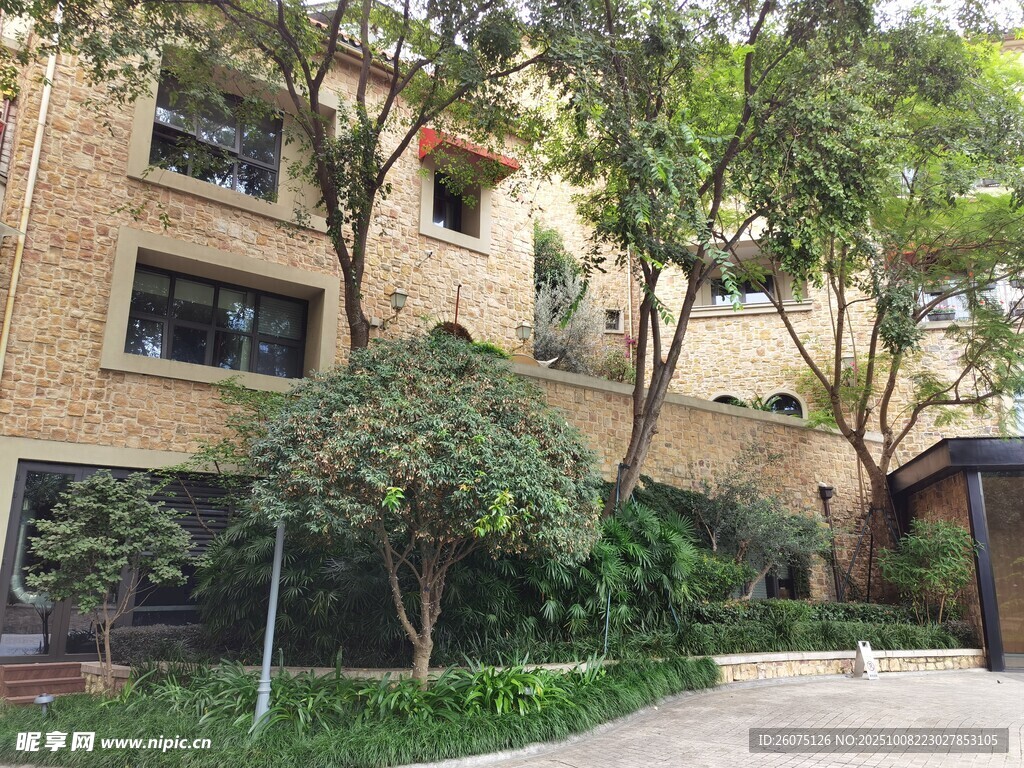 现代建筑旁的绿植景观