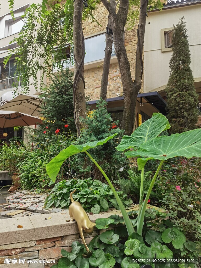 庭院绿植景观一角