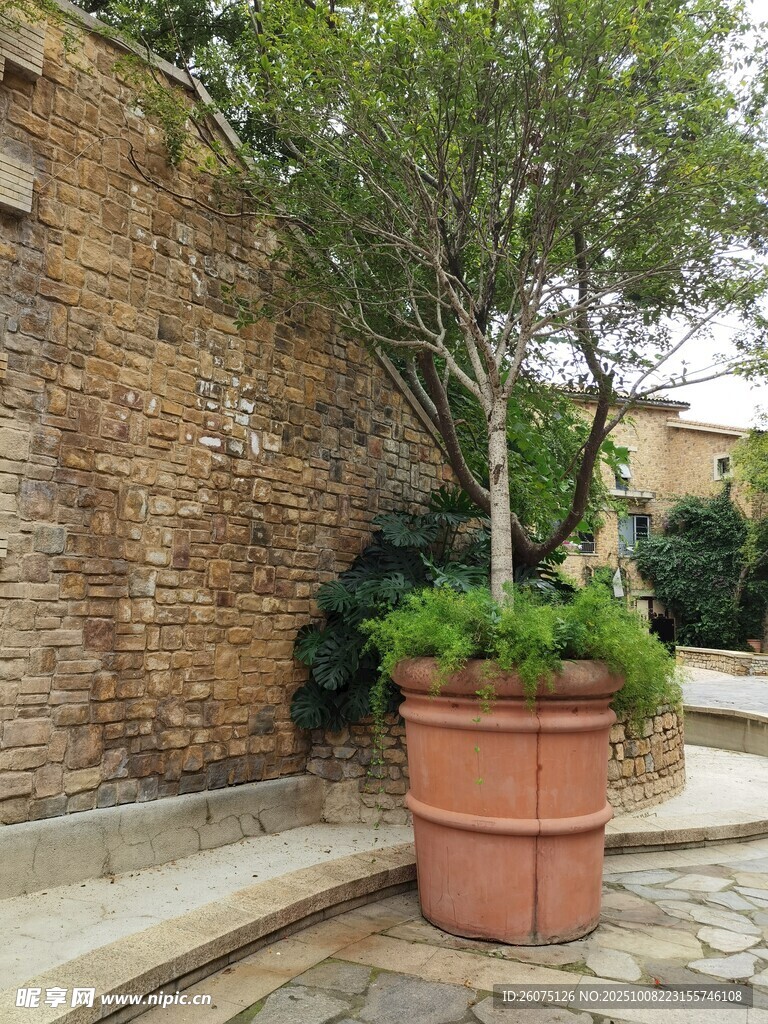 庭院角落的绿植陶盆景观
