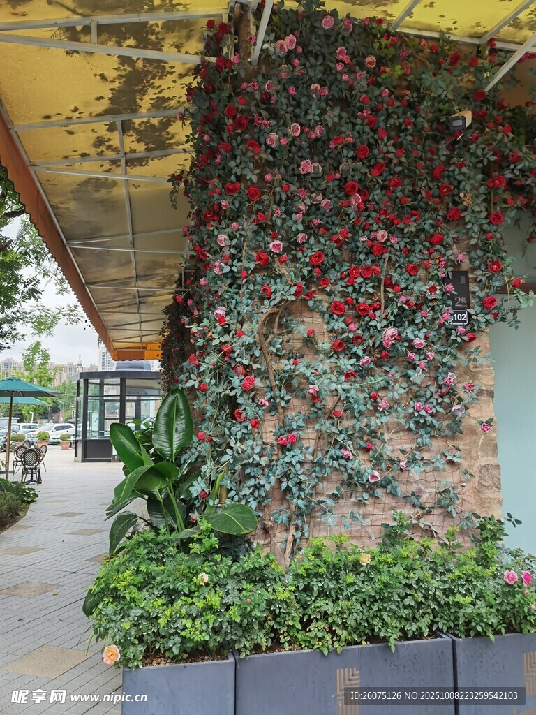 垂直绿植墙打造自然空间