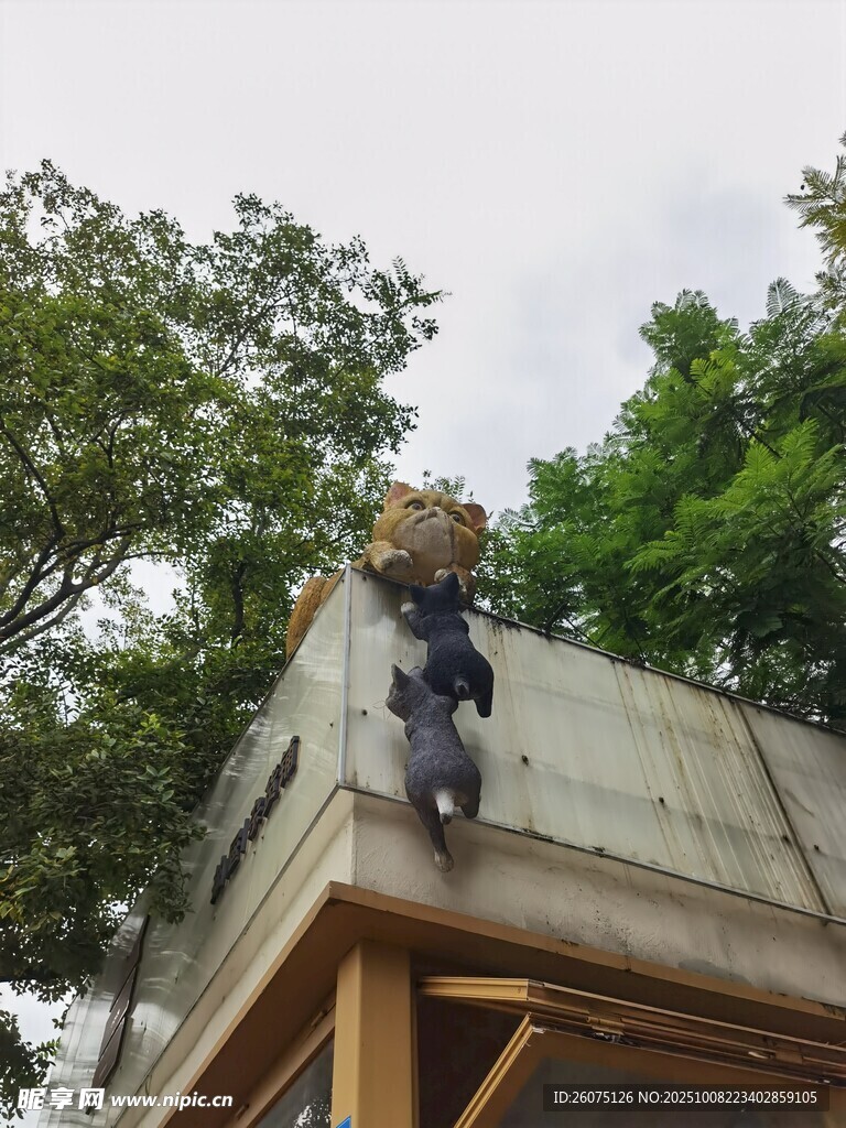 屋顶猫咪雕塑景观