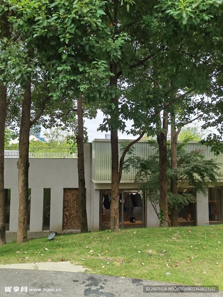 绿树环绕的静谧建筑