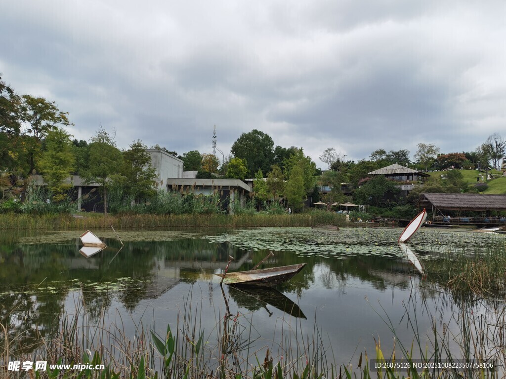 湖畔静谧风光