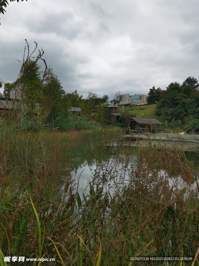 乡村湖畔风景