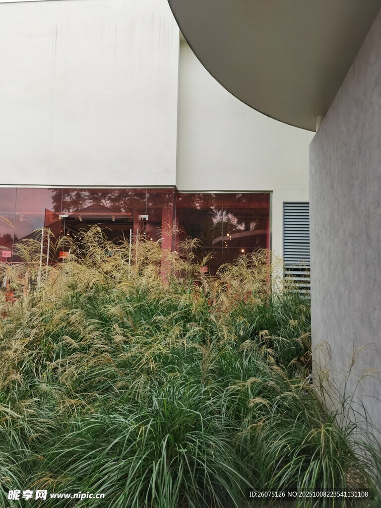 庭院绿植景观一角
