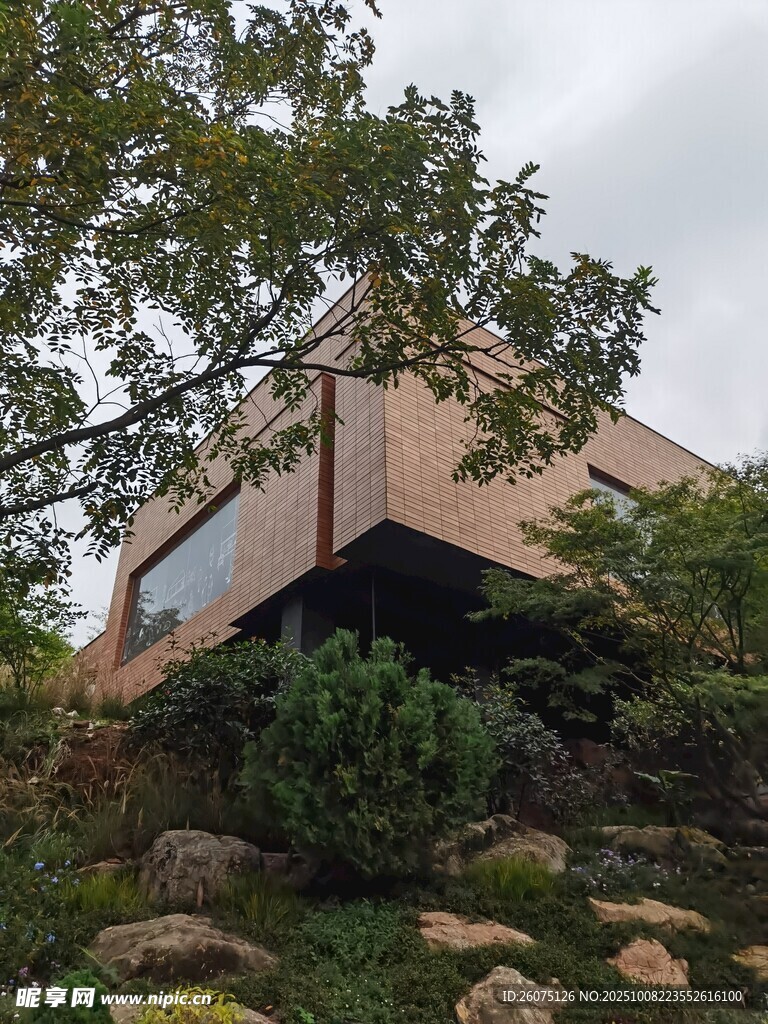 山坡上的现代风格住宅