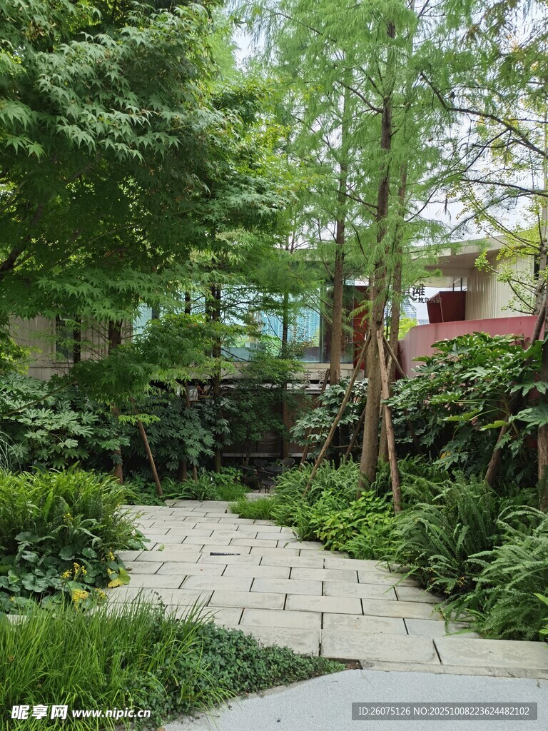 静谧庭院绿植小径景观