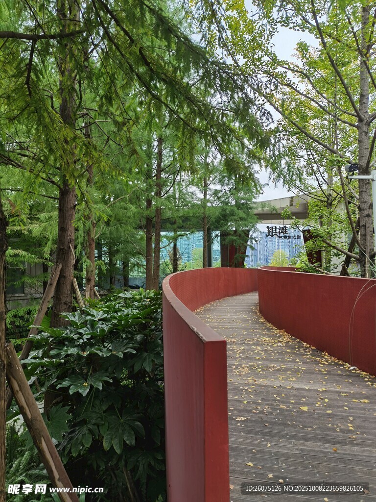 红色步道旁的葱郁树林