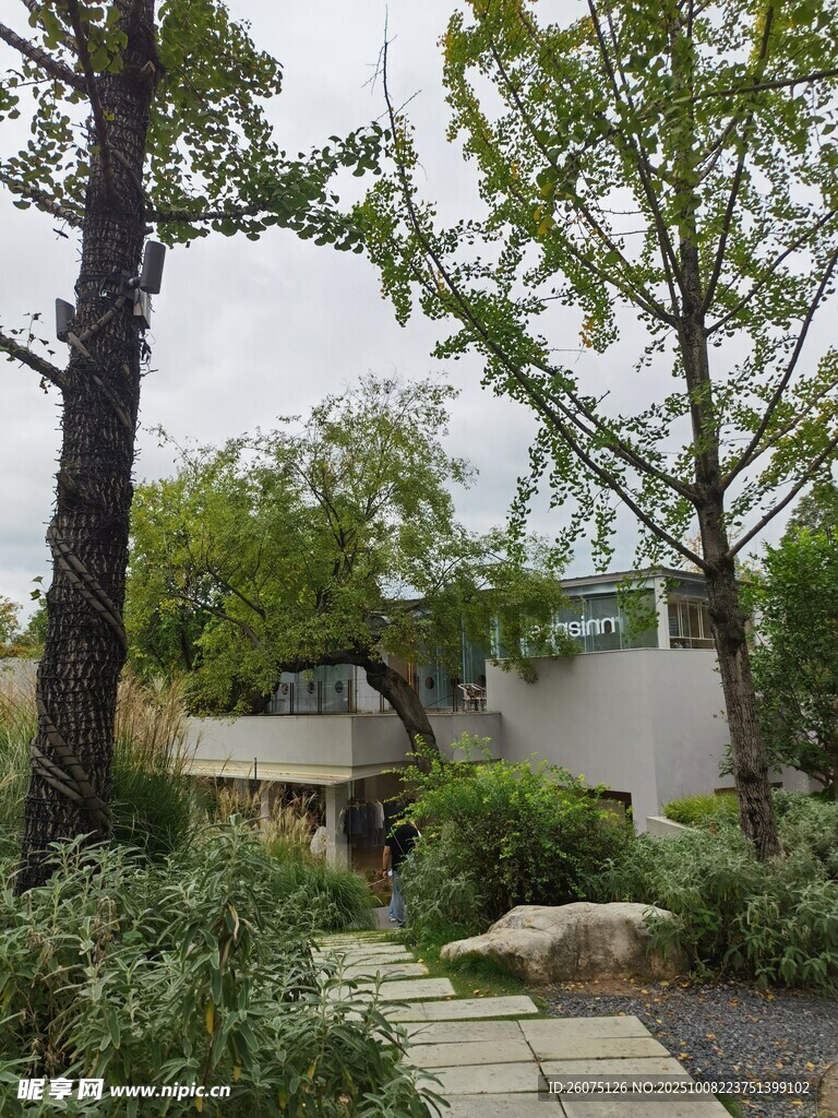 庭院绿植景观