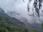 云雾 山