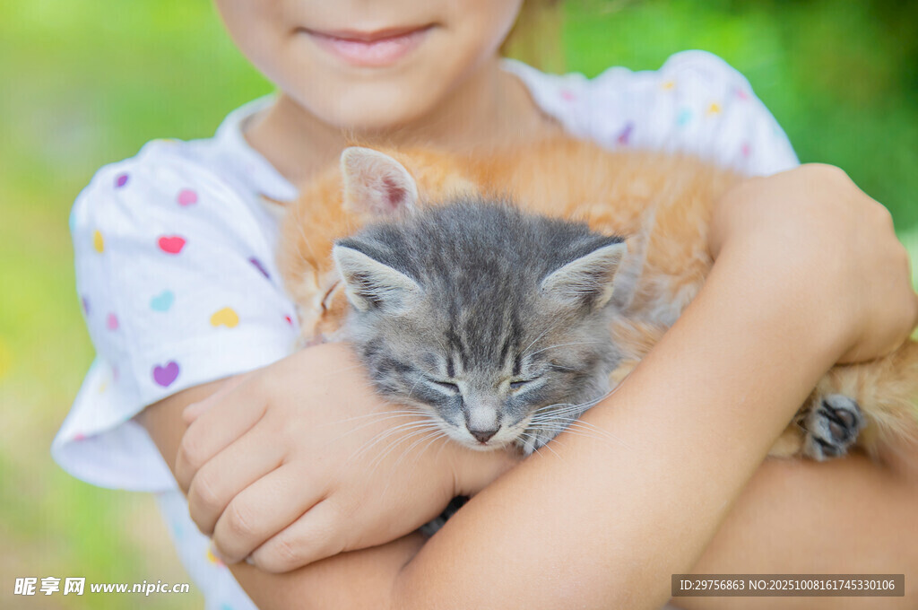 女孩怀抱两只可爱小猫咪