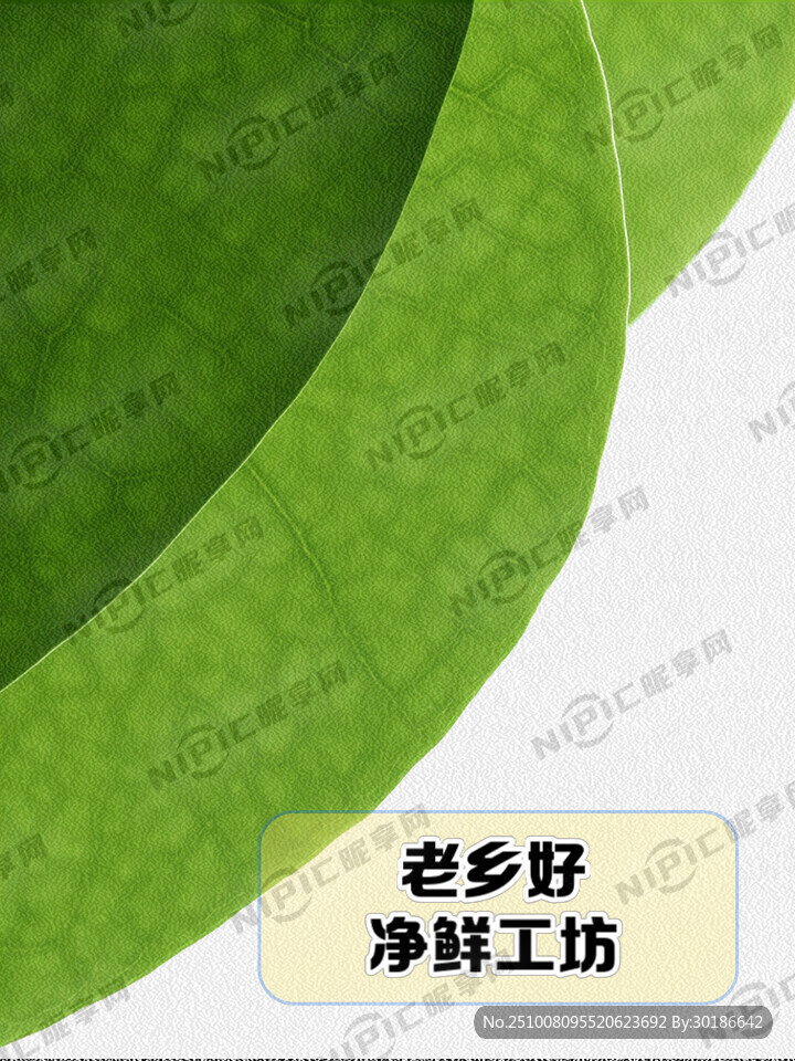 一片饱满的新鲜绿叶 净鲜工坊