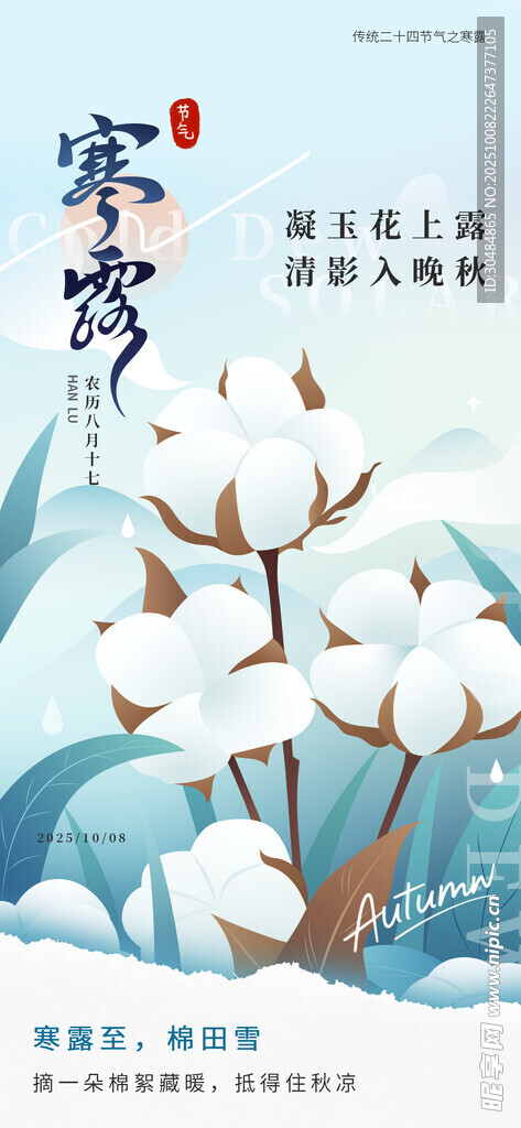 寒露海报