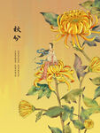 秋日菊花绽放图
