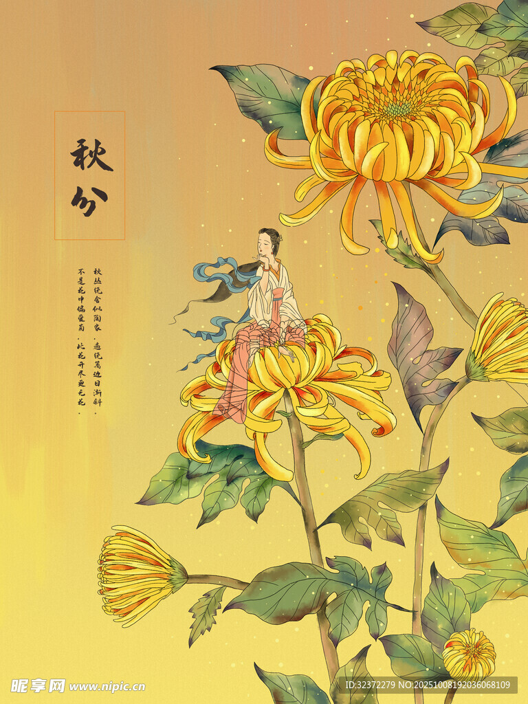 秋日菊花绽放图