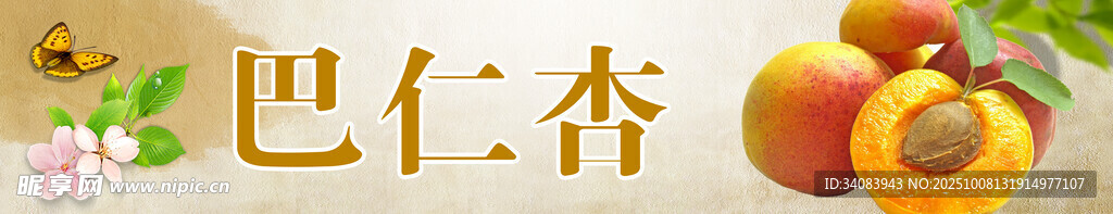 新鲜巴仁杏
