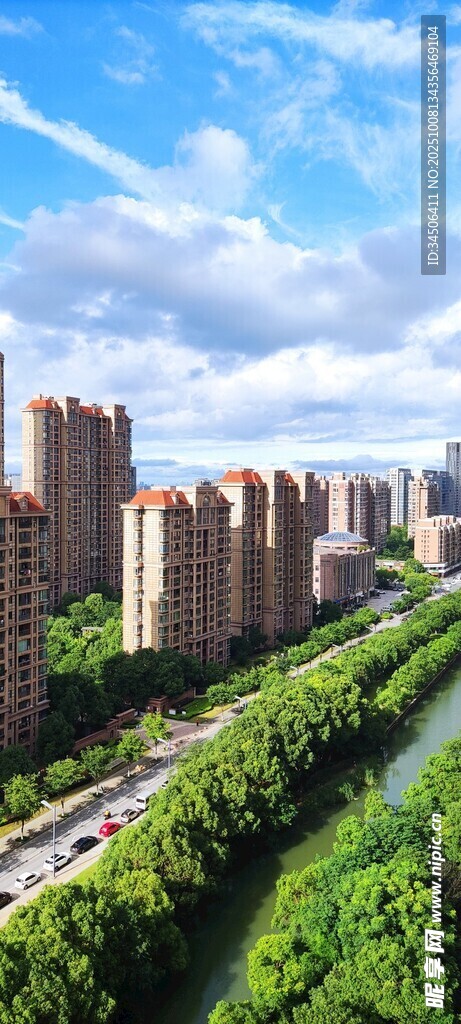 城市绿荫间的高楼景致