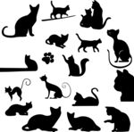 多样猫咪剪影集合