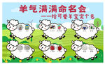 羊气满满命名会