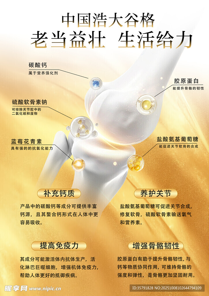 中国勇毅机器人形象展示