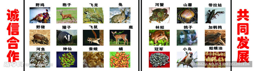 山货