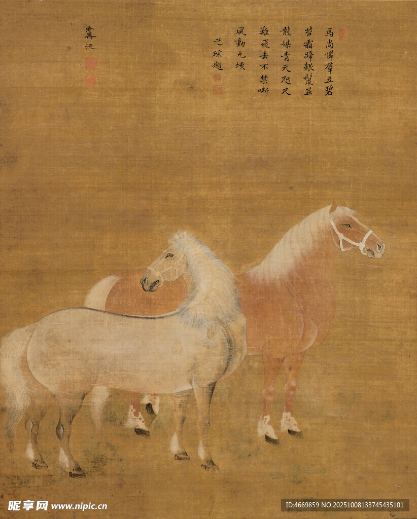 唐代双马图