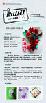 花卉主题创意设计素材